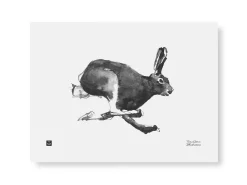 Julisteet/printit>Teemu Järvi Illustrations Jänis - juliste