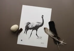 Julisteet/printit>Teemu Järvi Illustrations Kurki - juliste (30 x 40cm)