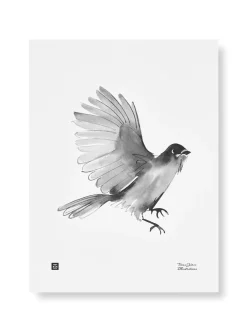 Julisteet/printit>Teemu Järvi Illustrations Kuukkeli - juliste (30 x 40cm)