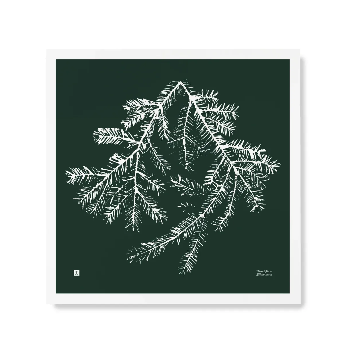Julisteet/printit>Teemu Järvi Illustrations Kuusenoksa - juliste metsänvihreä 50x50cm