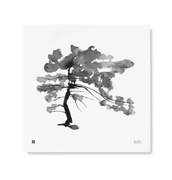 Julisteet/printit>Teemu Järvi Illustrations Mänty - juliste (50 x 50cm)