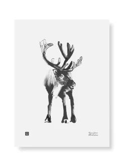 Julisteet/printit>Teemu Järvi Illustrations Poro - juliste (30 x 40cm)