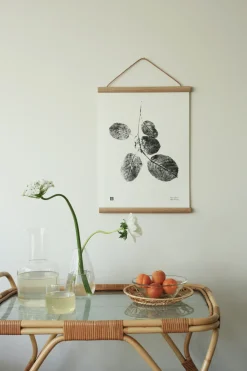 Julisteet/printit>Teemu Järvi Illustrations Raitapuun oksa - juliste 30cm x 40cm