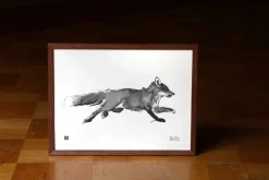 Julisteet/printit>Teemu Järvi Illustrations Seikkaileva Kettu - juliste (40 x 30cm)